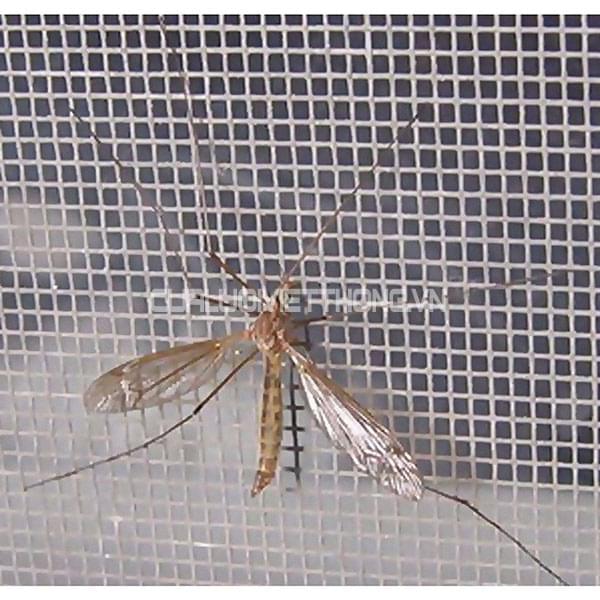 Lưới chống côn trùng - Cửa Lưới Chống Muỗi Việt Thống Hưng Thịnh - Công Ty TNHH SX TM DV Việt Thống Hưng Thịnh